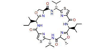 Patellamide A